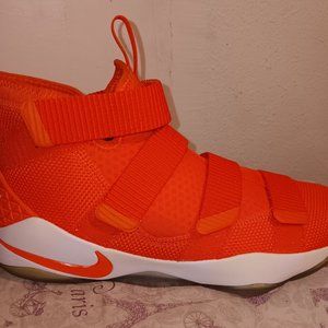 LeBron James Nike Zoom